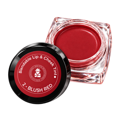 BOBI Glow Tint Blush Red lip and cheek tint 5 g - image 1